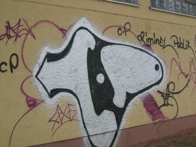 Graffiti verwijderen