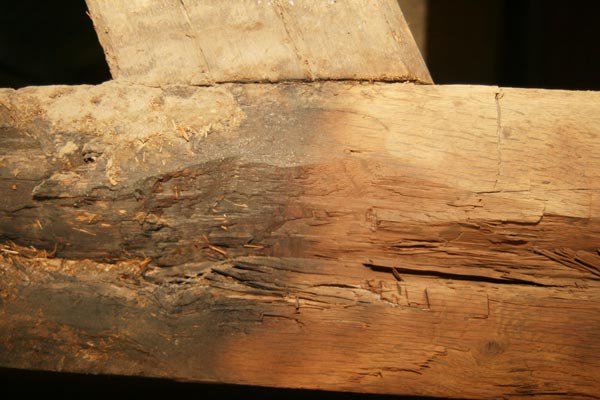 Hout en meubels